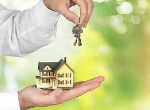 Local Property Dealers
