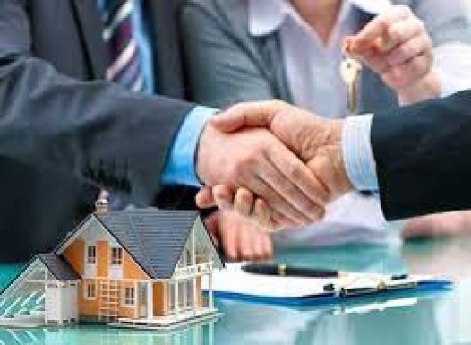 Local Property Dealers